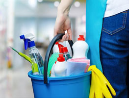 Housekeeping and Cleaning Services