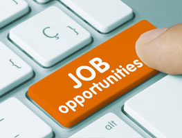 Jobs  Vacancies