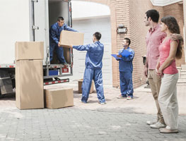 Packers and Movers and Relocations Services