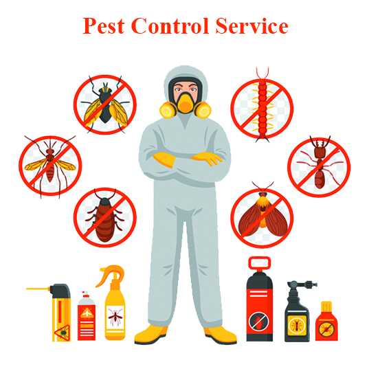 Pest Control Service