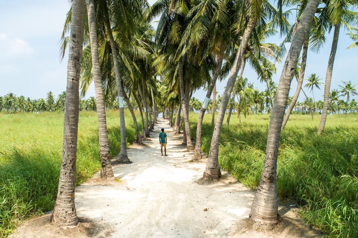 Goa Tour and Travels Packages